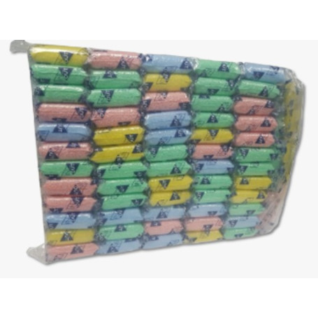 00251 IN AND OUT PACA X66UDS ESNPOJA COLORES