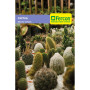 CACTUS MEZCLA VARIADA (6)
