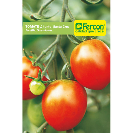TOMATE CHONTO STA CRUZ S.E. X 1G (10)