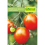 TOMATE CHONTO STA CRUZ S.E. X 1G (10)