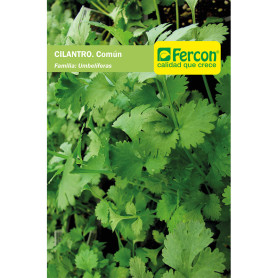 CILANTRO LONG STANDING S.E. X 5G (10)