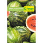 SANDIA CRIMPSON RAYADA S.E. X 3G  (10)