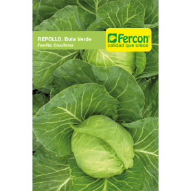 REPOLLO BOLA VERDE S.E. X 3G (10)