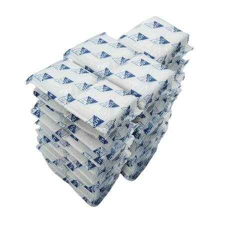 00241 IN AND OUT PACA X 50 UD ESPONJA MALLA*2
